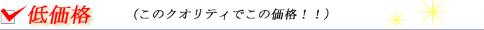 高級車板金のカーリニューシステム/低価格
