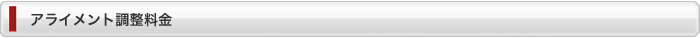 カーリニューシステム/アライメント調整料金